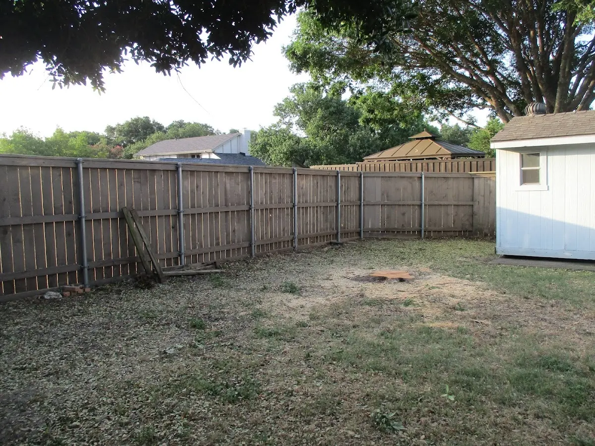 Cleared yard after professional tree removal in Bearden